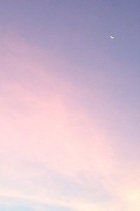 非洲篮球锦标赛即将展开，女子组别竞争激烈