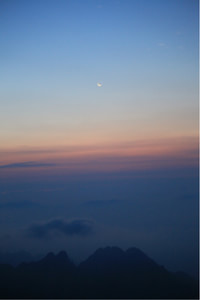 瑞典队在场上表现强大