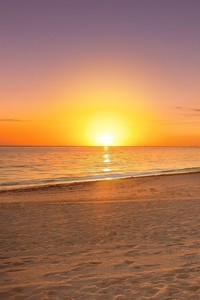 非洲篮球锦标赛即将展开，女子组别竞争激烈