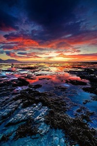 斯图加特球队展现出强大实力，已备战又一战