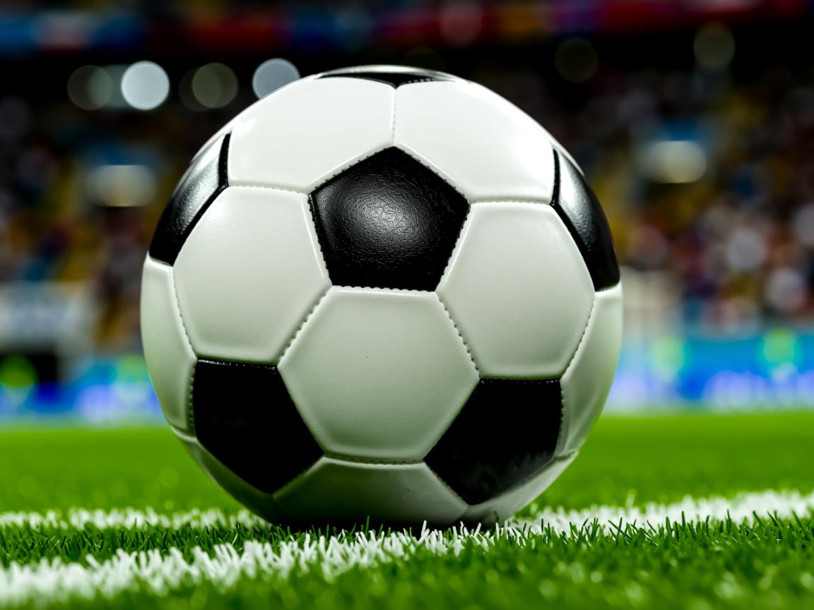 爱游戏app注册-美国选手斩获亮眼成绩，充满活力